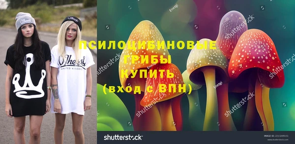 твердый Вязники